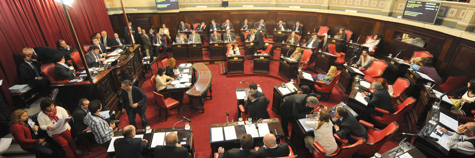 senado