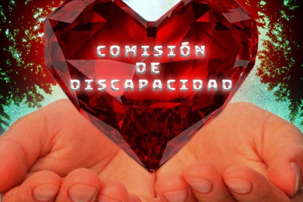 COMISION DISCAPACIDAD