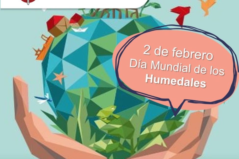 2feb humedales