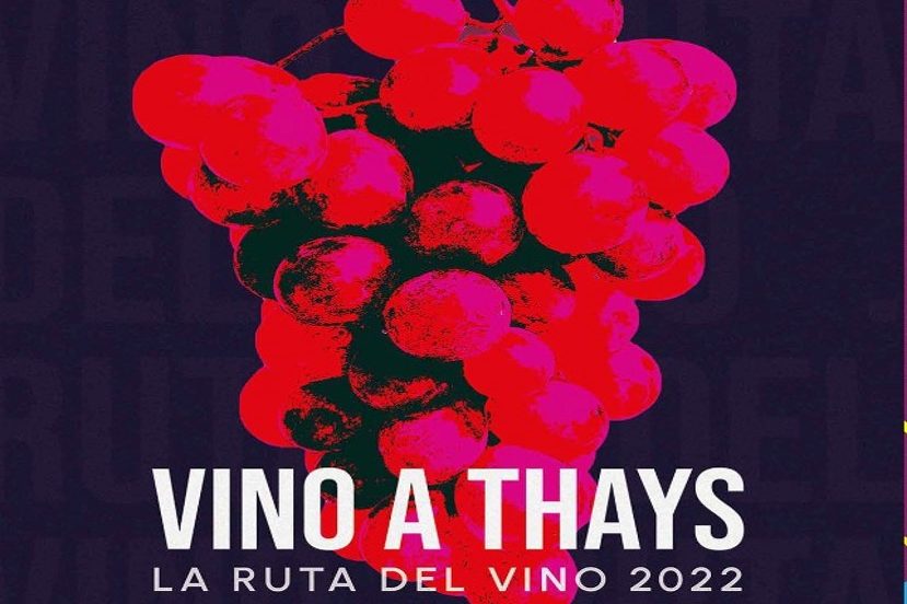 ruta del vino