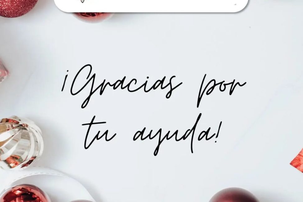 cruzada solidaria (6)