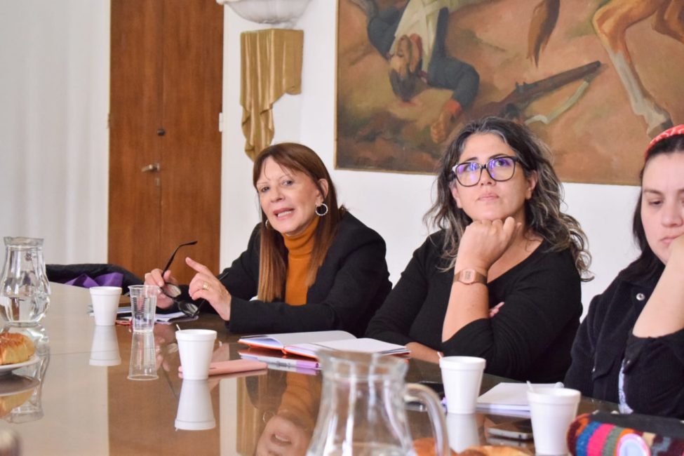 mesa intersectorial AMFM (2)