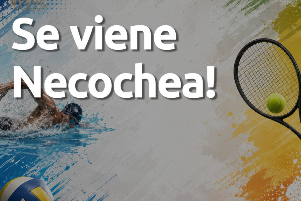 Banner web